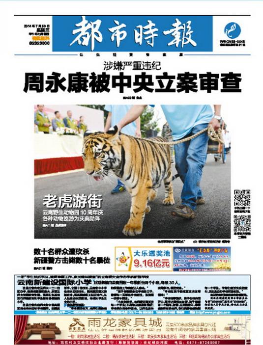 浦北荔枝挂满枝头，乡村振兴跑出加速度